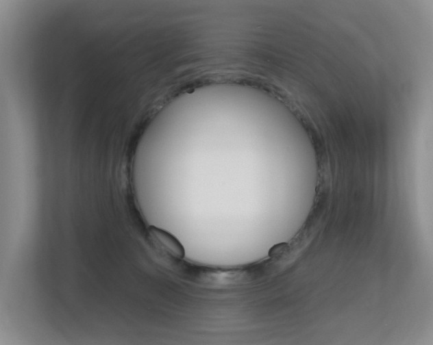 X0000112500323200908171016