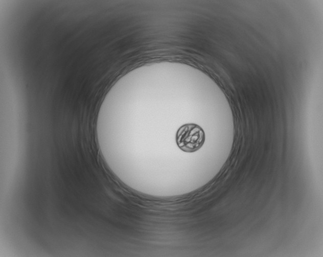 X0000112500328200908171016