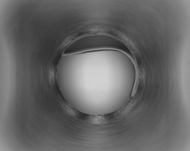 X0000112500333200908171016