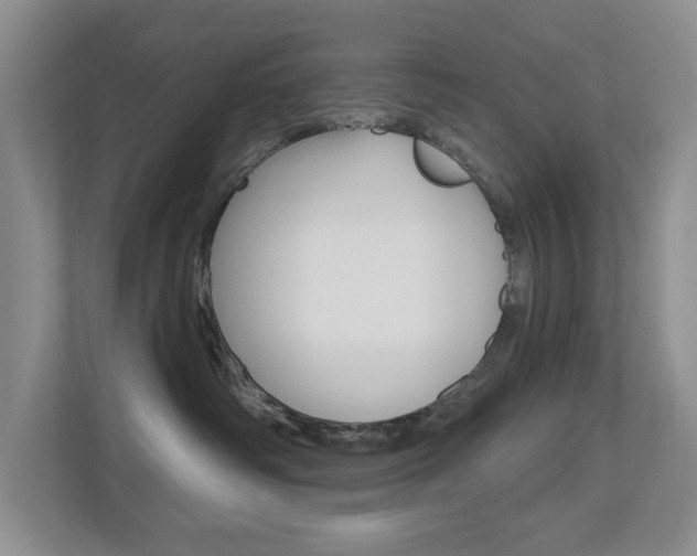 X0000112500334200908171016