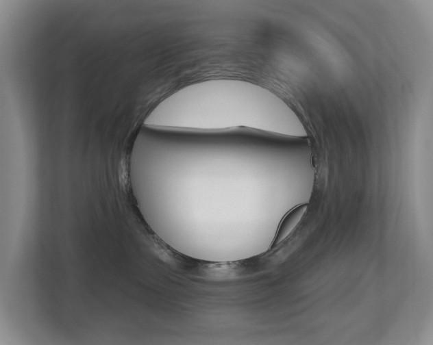 X0000112500335200908171016