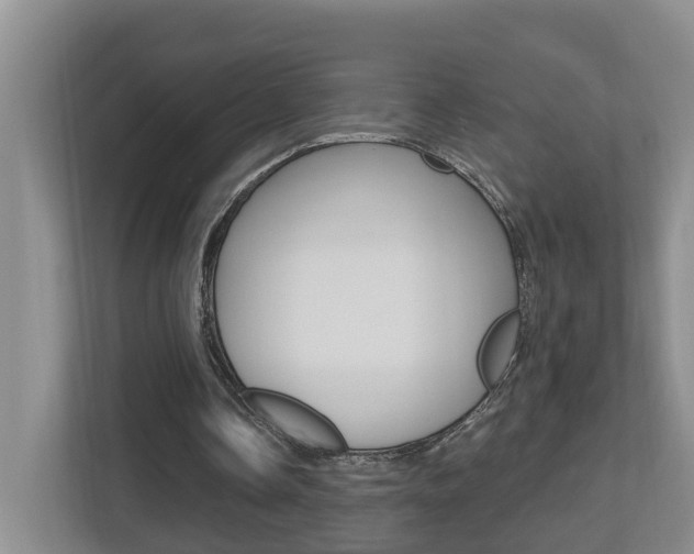 X0000112500338200908171015