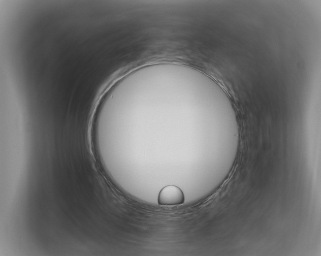 X0000112500340200908171015