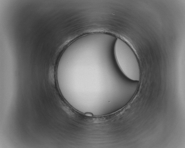 X0000112500345200908171016