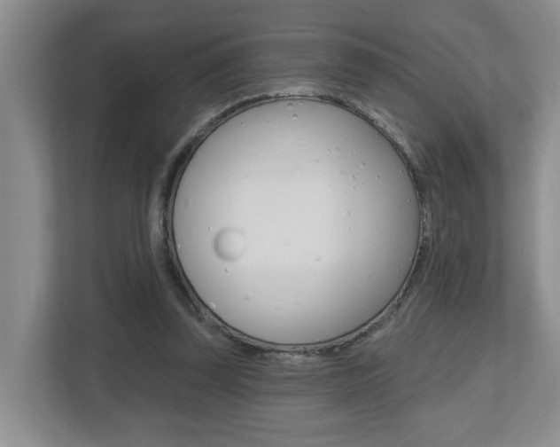 X0000112500347200908171016