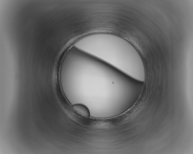 X0000112500348200908171016
