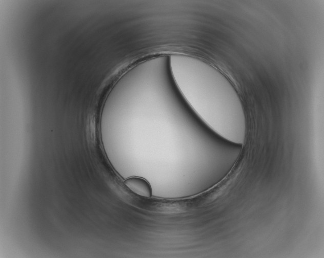 X0000112500349200908171016