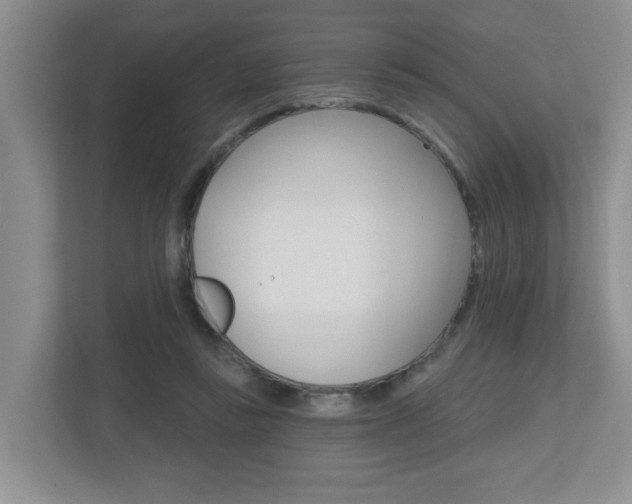 X0000112500355200908171016