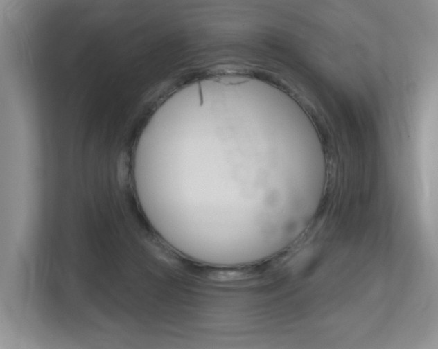 X0000112500361200908171016