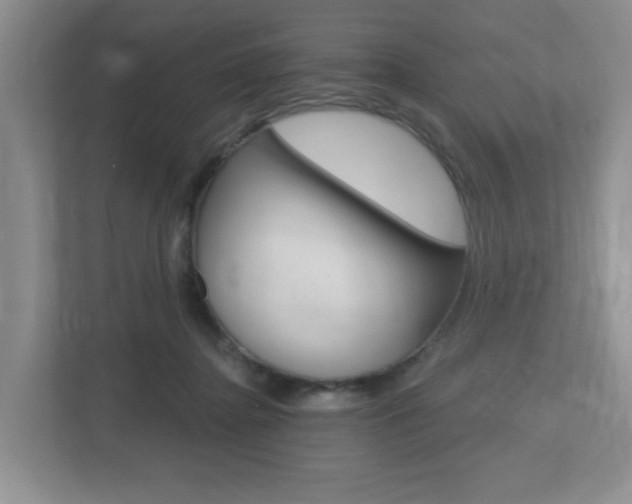 X0000112500364200908171016