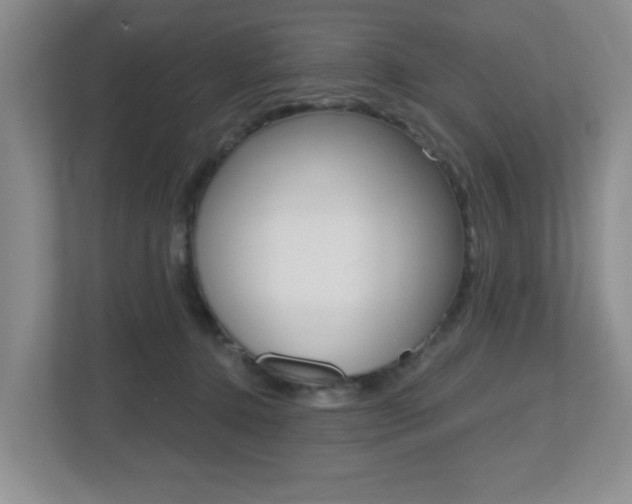 X0000112500368200908171016