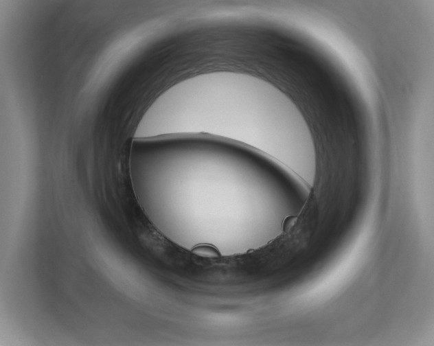 X0000112500382200908171016