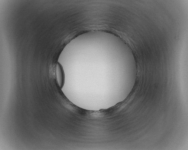X0000112500383200908171016