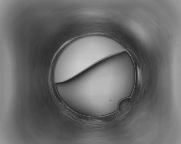 X0000112500387200908171015