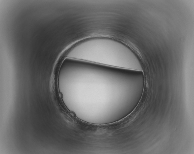 X0000112500388200908171015