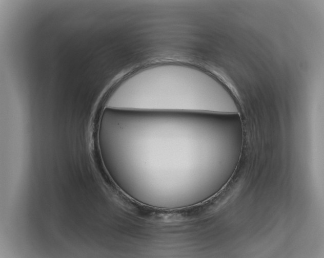 X0000112500395200908171015