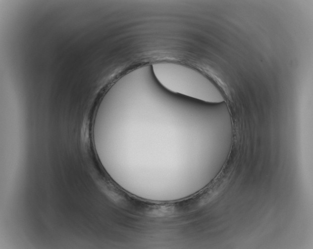 X0000112500398200908171015