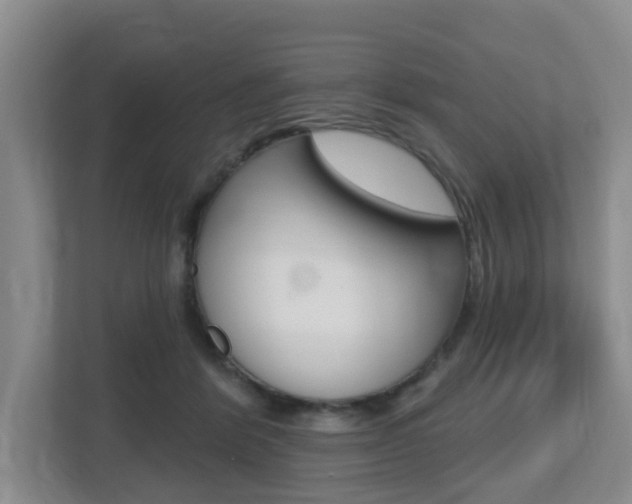 X0000112500412200908171015