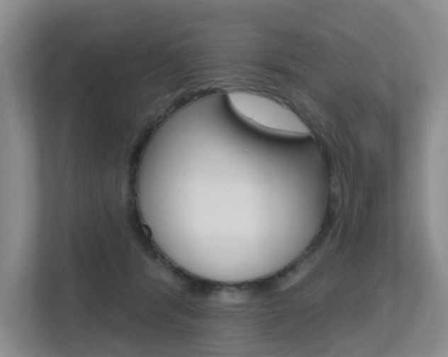 X0000112500416200908171015