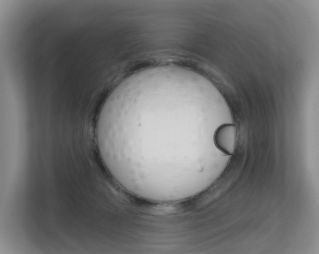 X0000112500418200908171015