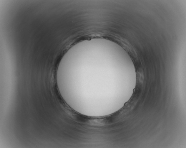 X0000112500422200908171015