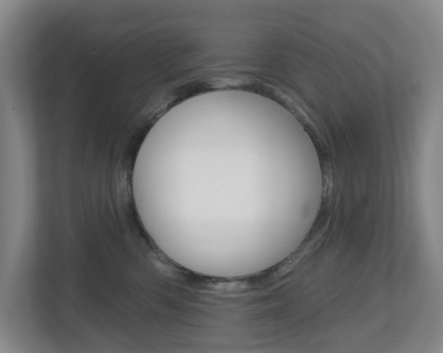 X0000112500426200908171015