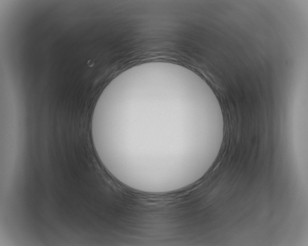 X0000112500427200908171015