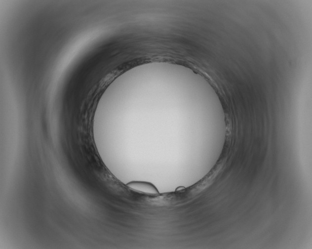 X0000112500430200908171015