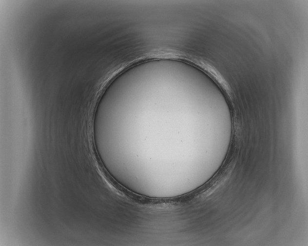 X0000112500433200908171014