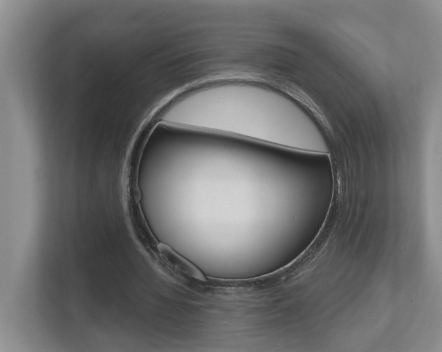X0000112500436200908171014