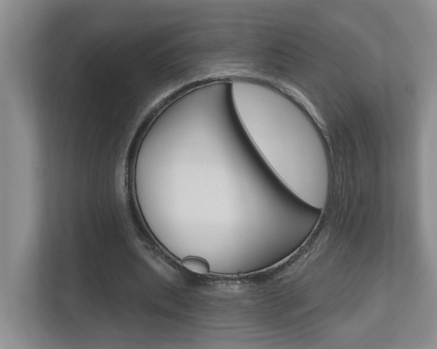 X0000112500439200908171014