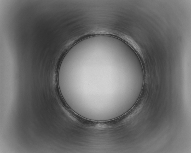 X0000112500441200908171014