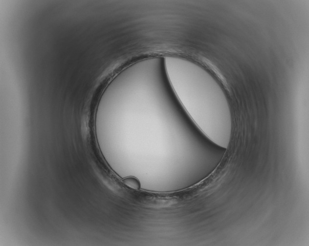 X0000112500443200908171014