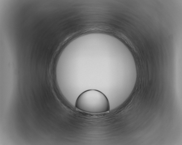 X0000112500444200908171014