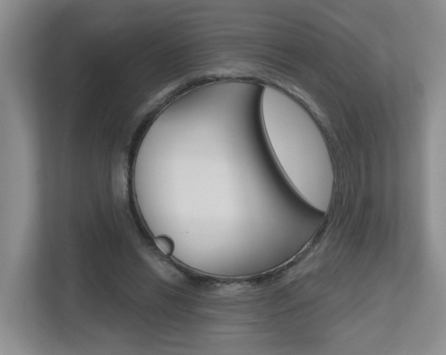X0000112500446200908171014