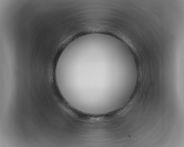 X0000112500450200908171014