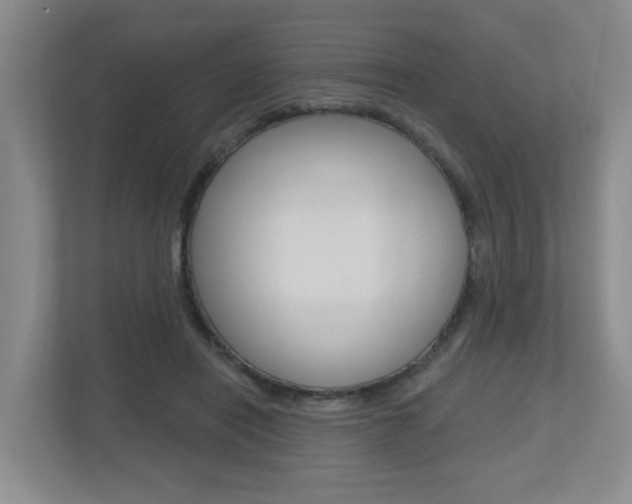 X0000112500454200908171014