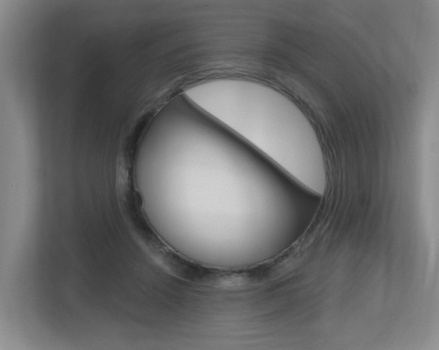 X0000112500456200908171014