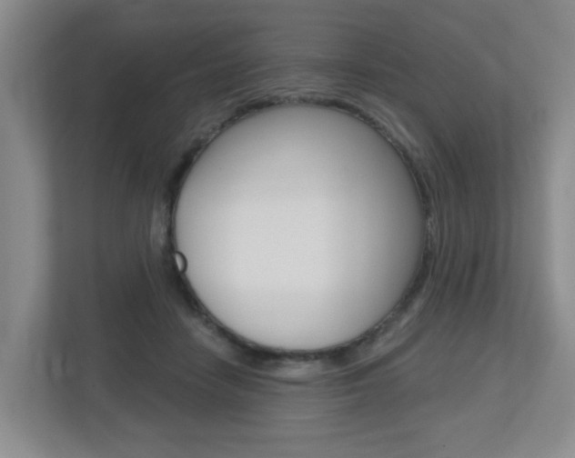 X0000112500458200908171015