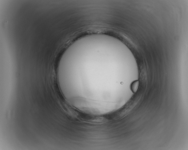 X0000112500459200908171015