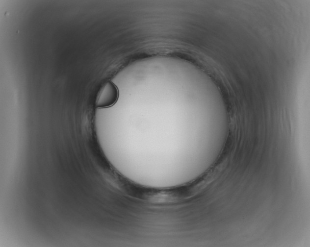 X0000112500460200908171015