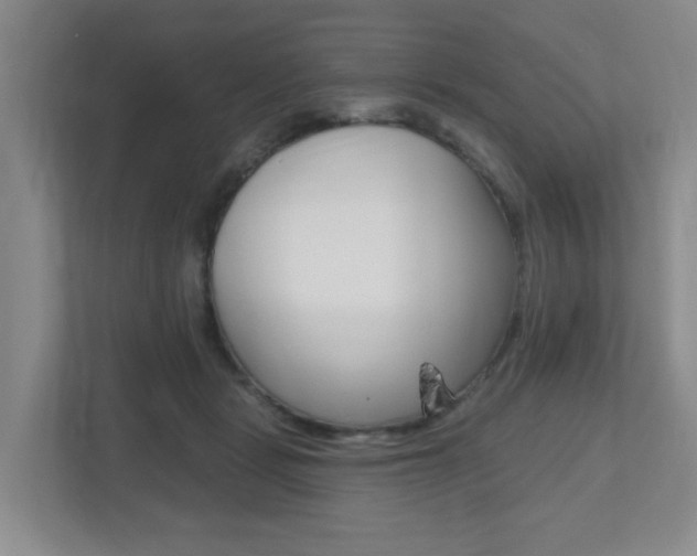 X0000112500461200908171015