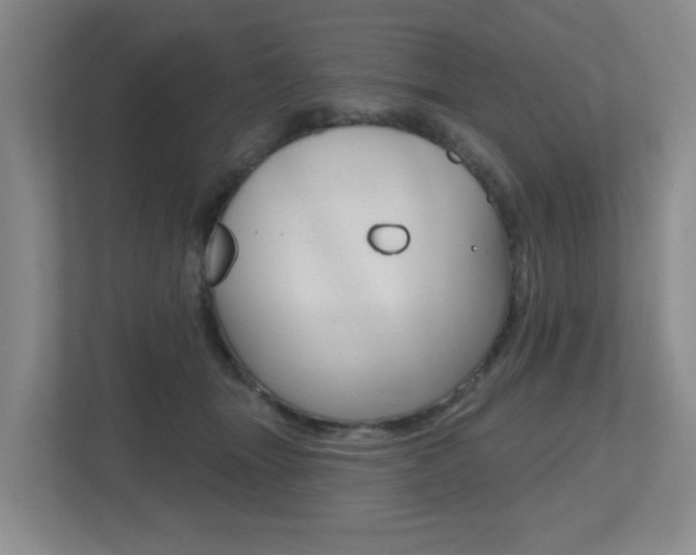 X0000112500463200908171015