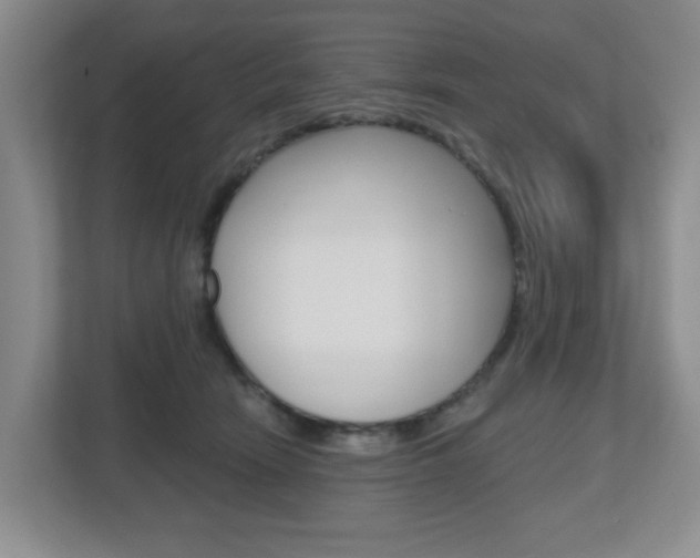 X0000112500466200908171015