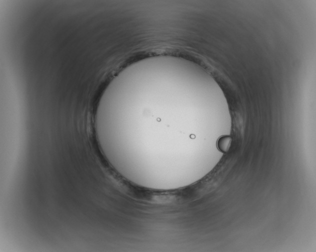 X0000112500470200908171015
