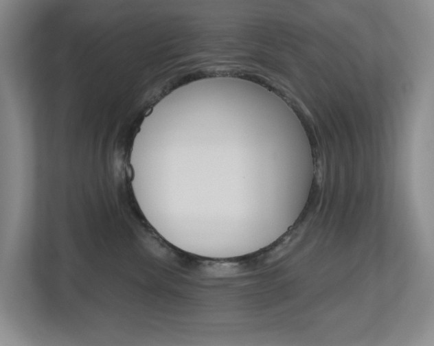 X0000112500476200908171015