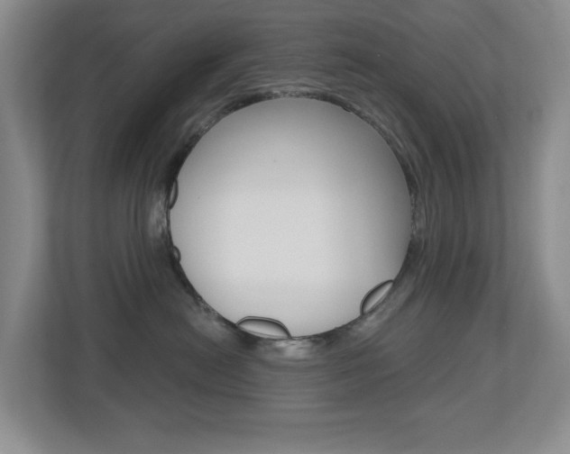 X0000112500478200908171015