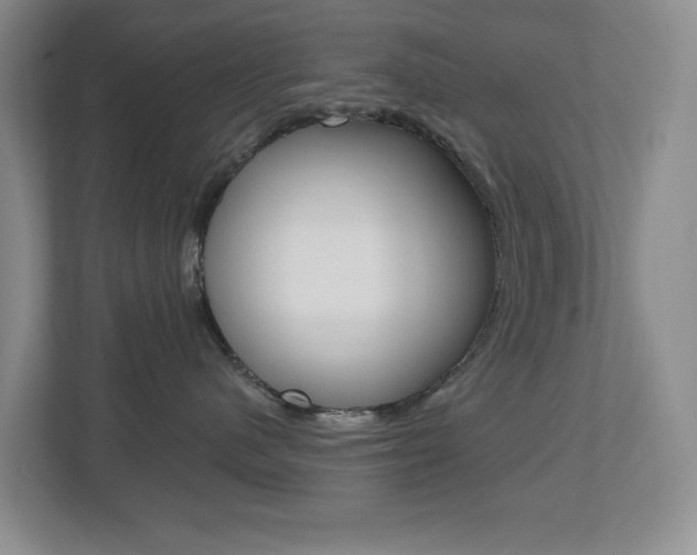 X0000112500480200908171015