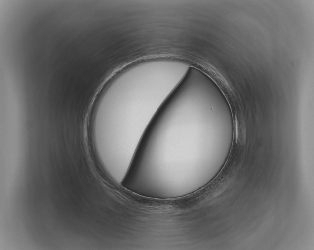 X0000112500483200908171014