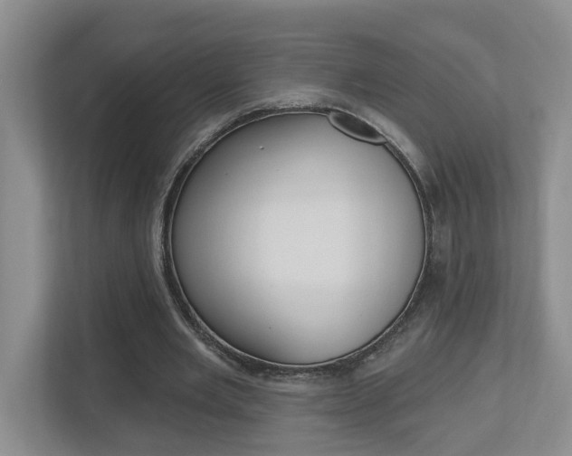 X0000112500485200908171014